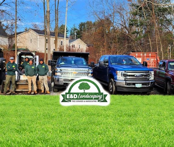 edlandscaping.net project